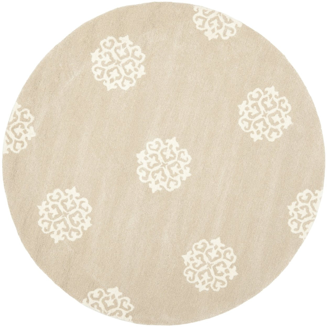 SAFAVIEH Soho SOH724B Handmade Beige / Ivory Rug Image 1