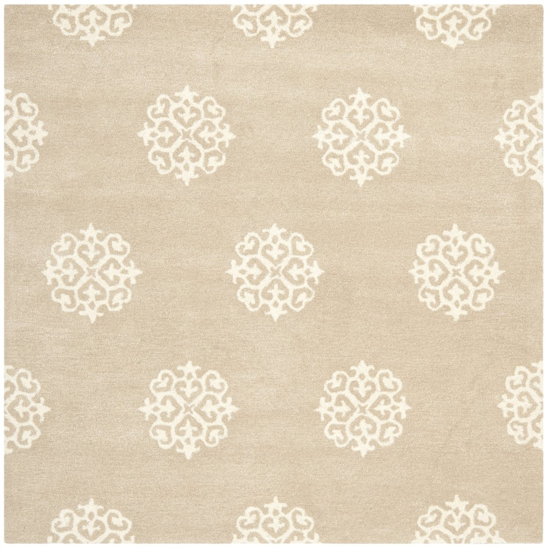 SAFAVIEH Soho SOH724B Handmade Beige / Ivory Rug Image 1