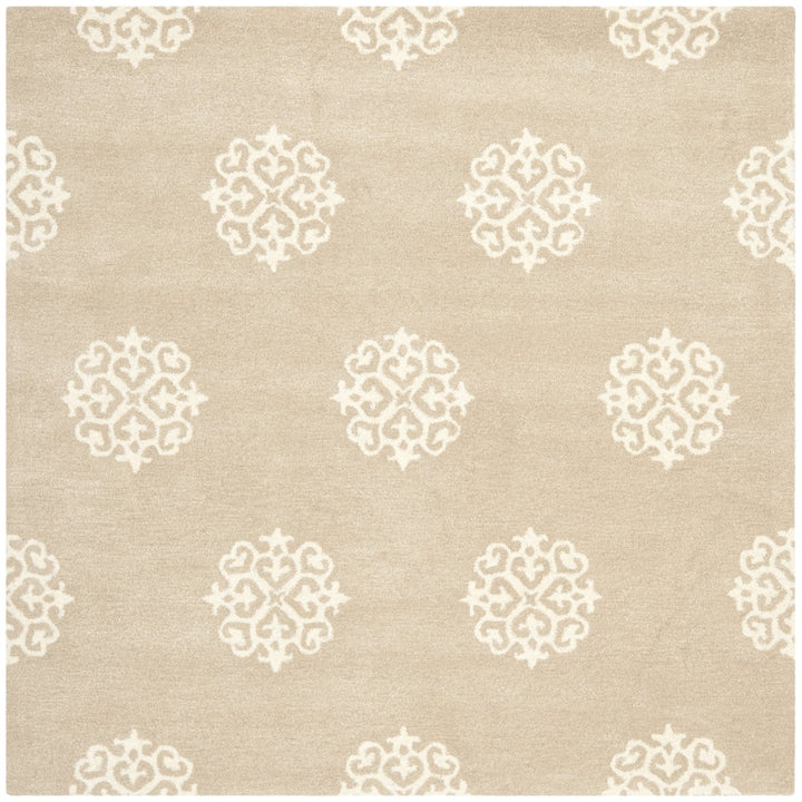 SAFAVIEH Soho SOH724B Handmade Beige / Ivory Rug Image 1