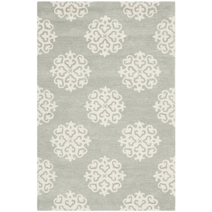 SAFAVIEH Soho Collection SOH724C Handmade Grey/Ivory Rug Image 1