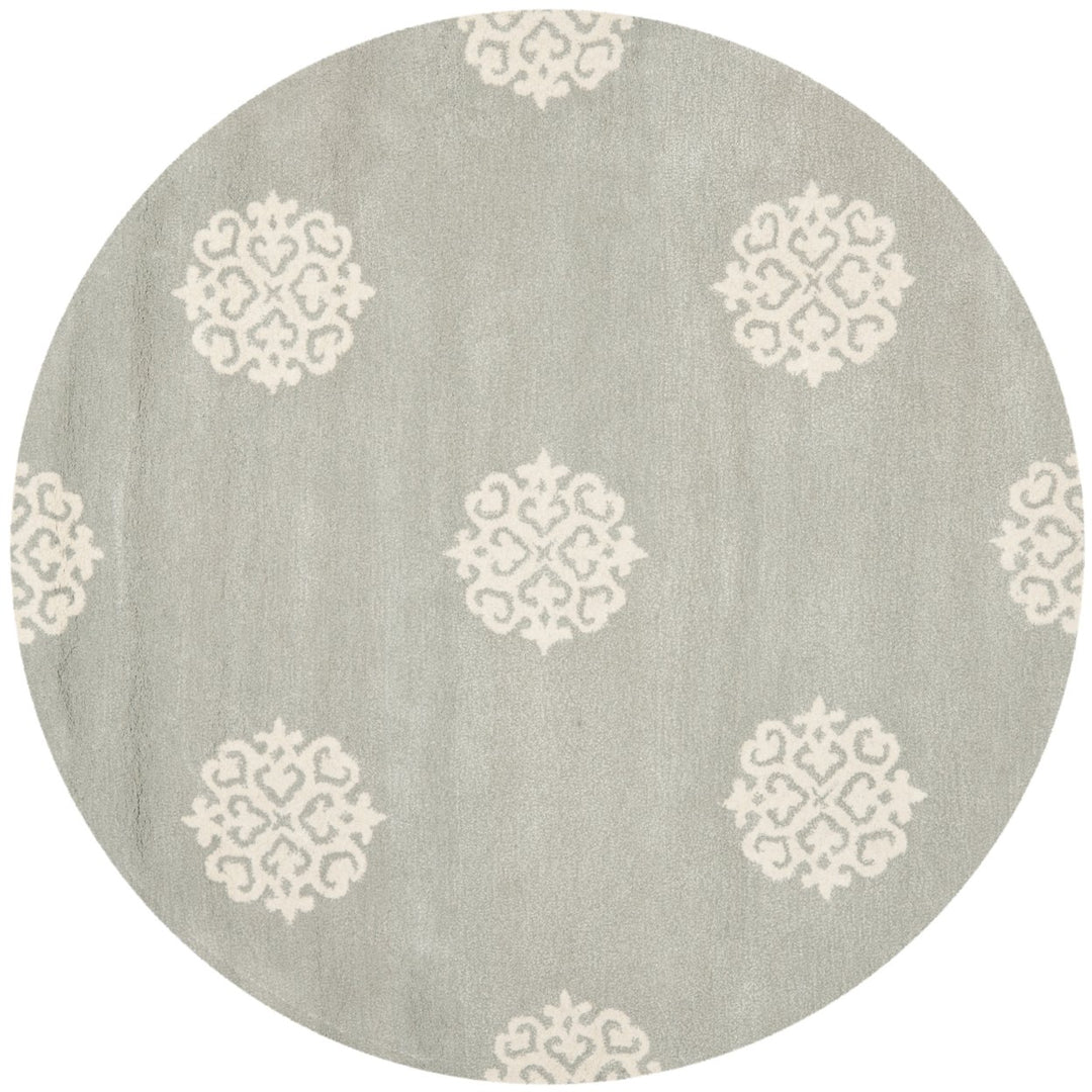 SAFAVIEH Soho Collection SOH724C Handmade Grey/Ivory Rug Image 1