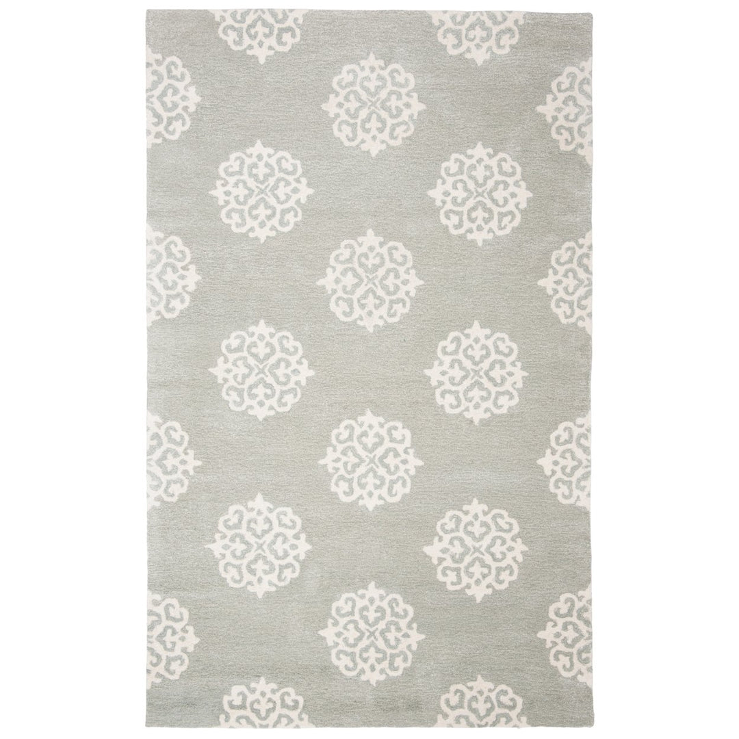 SAFAVIEH Soho Collection SOH724C Handmade Grey/Ivory Rug Image 1