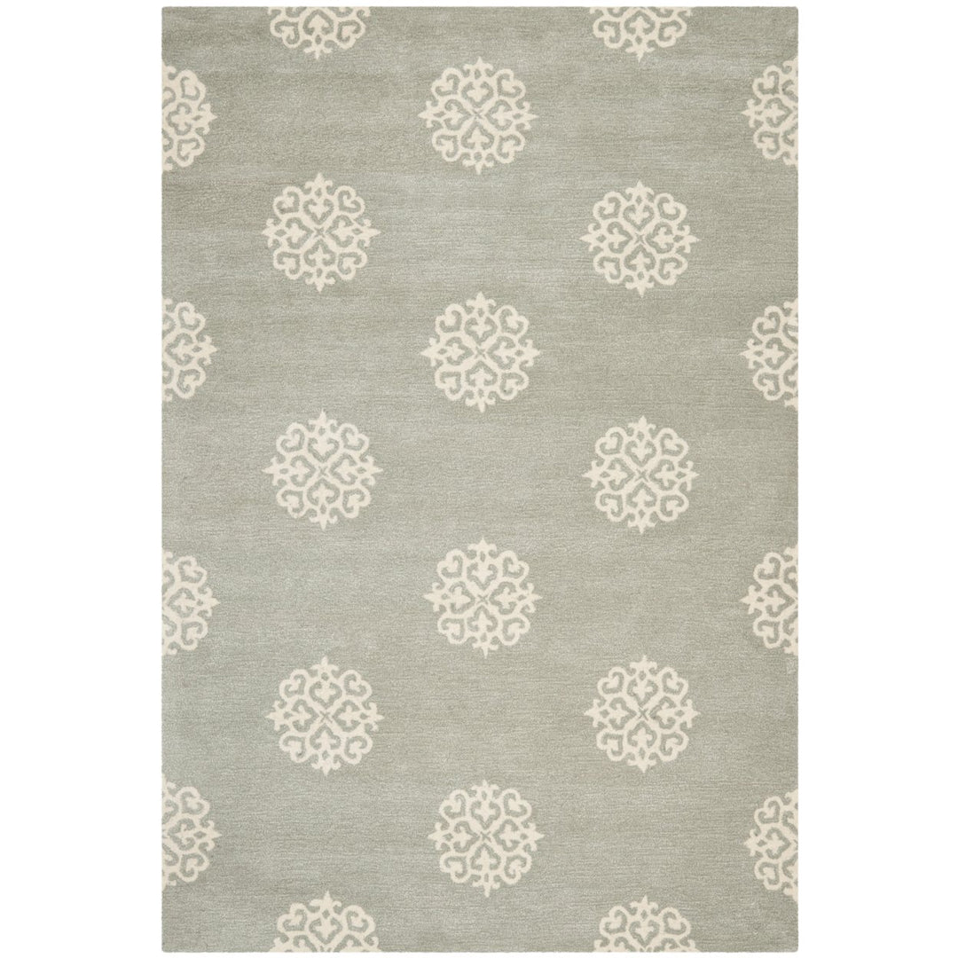 SAFAVIEH Soho Collection SOH724C Handmade Grey/Ivory Rug Image 1