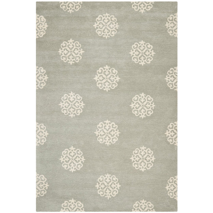 SAFAVIEH Soho Collection SOH724C Handmade Grey/Ivory Rug Image 1