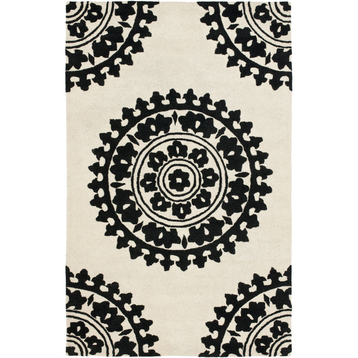 SAFAVIEH Soho SOH732G Handmade Ivory / Black Rug Image 4