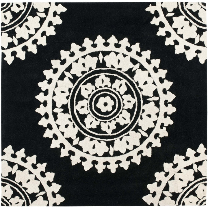 SAFAVIEH Soho SOH732D Handmade Black / Ivory Rug Image 1