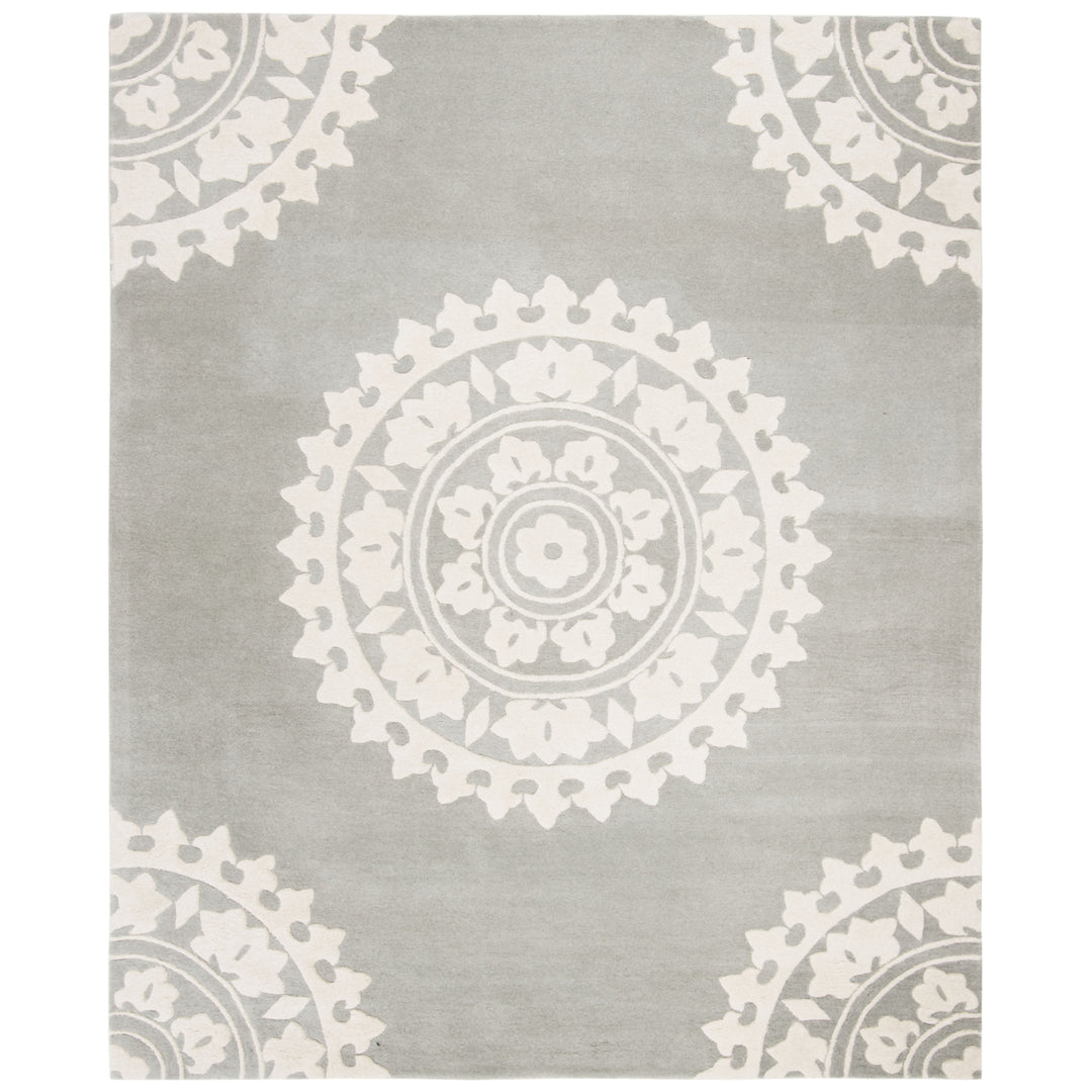 SAFAVIEH SOH732K Soho Light Grey / Ivory Image 3