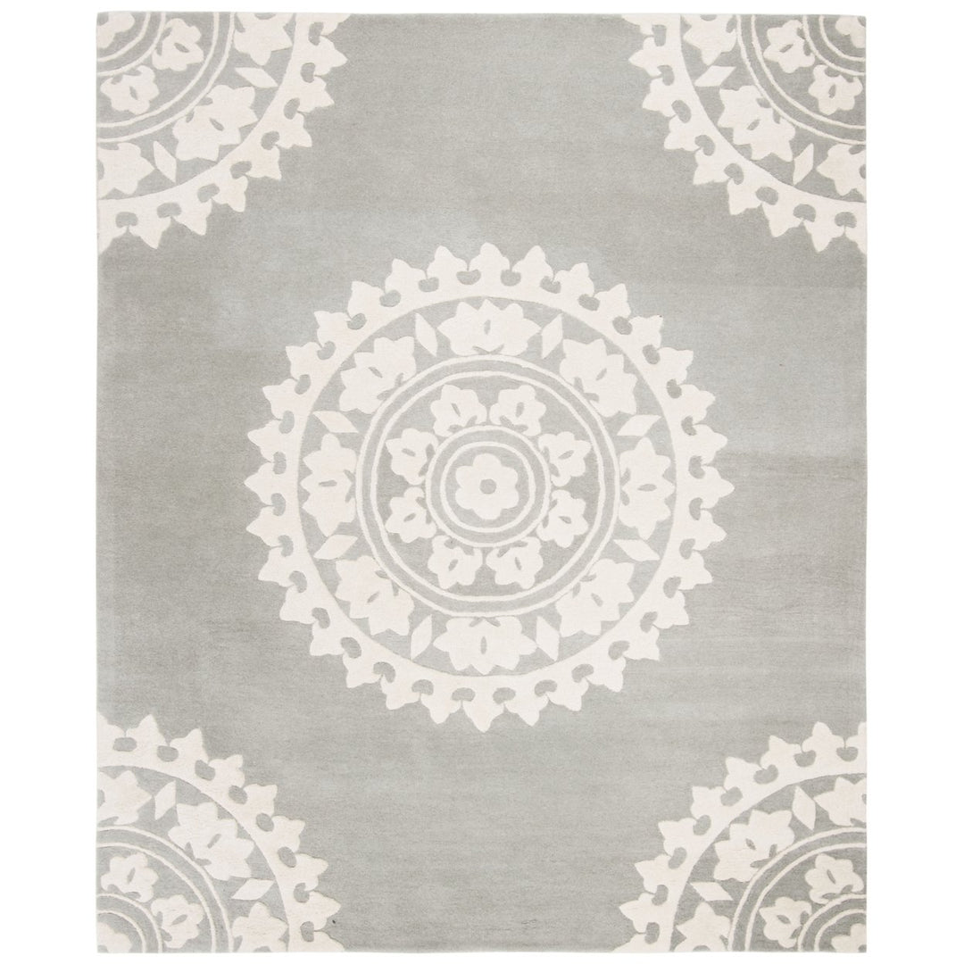 SAFAVIEH SOH732K Soho Light Grey / Ivory Image 1