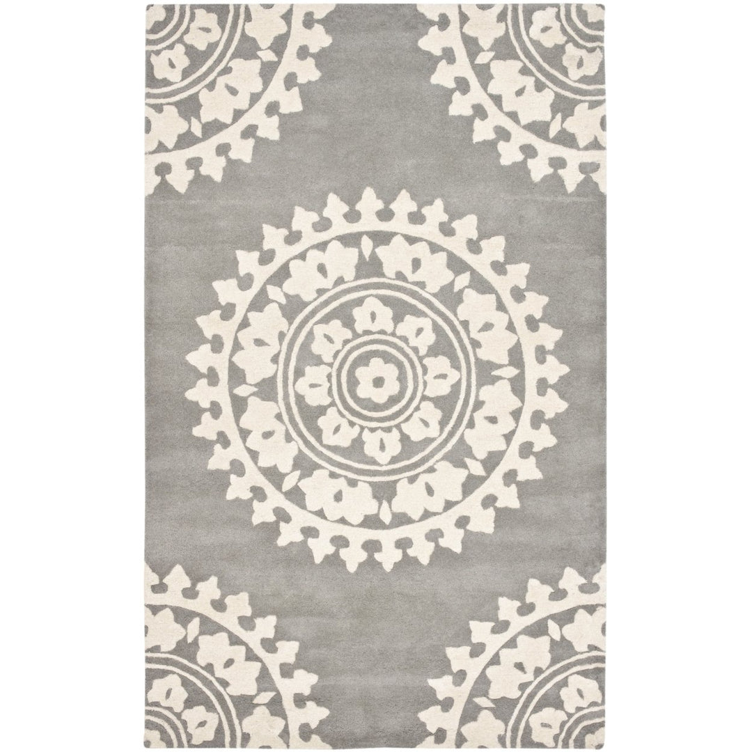 SAFAVIEH SOH732K Soho Light Grey / Ivory Image 1