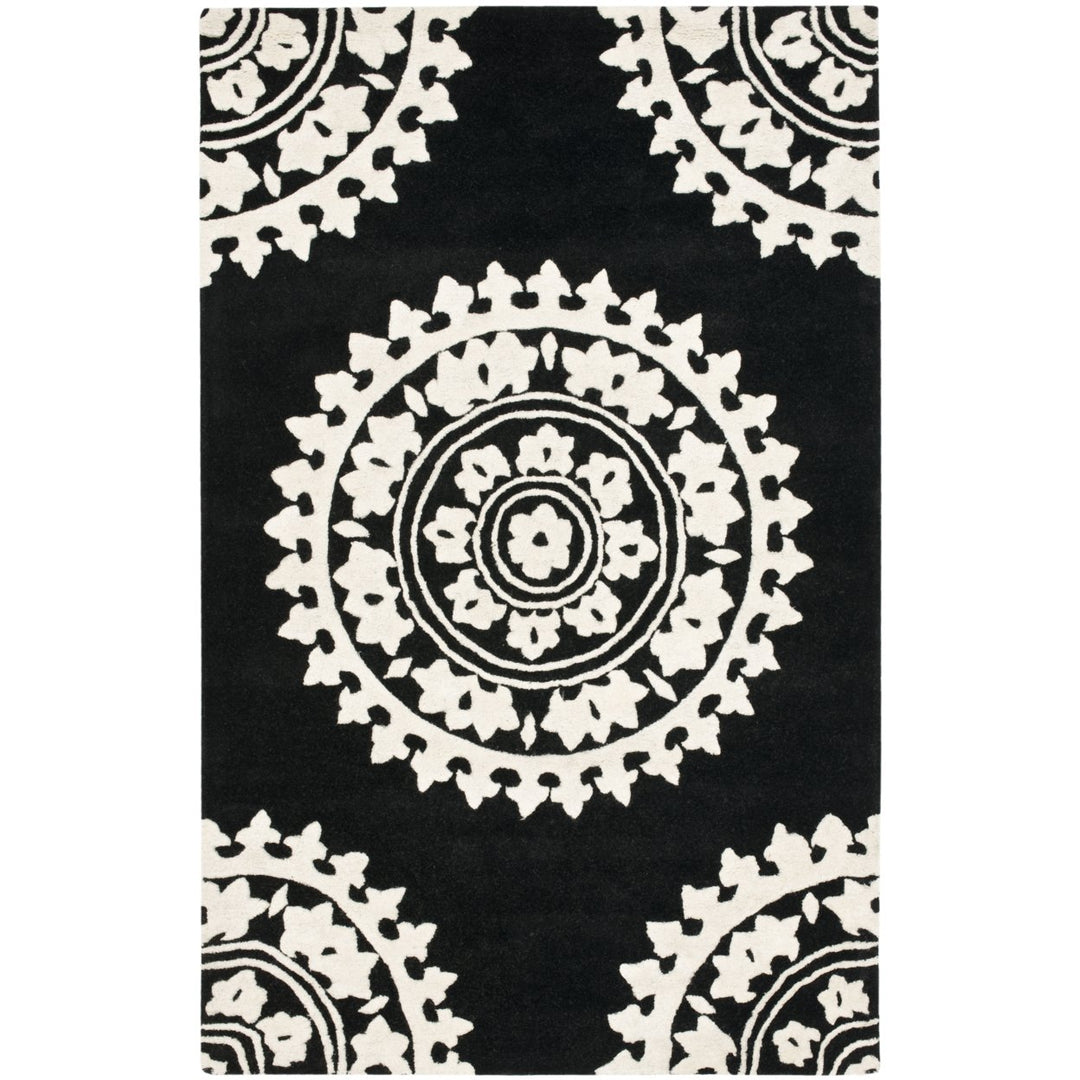 SAFAVIEH Soho SOH732D Handmade Black / Ivory Rug Image 1