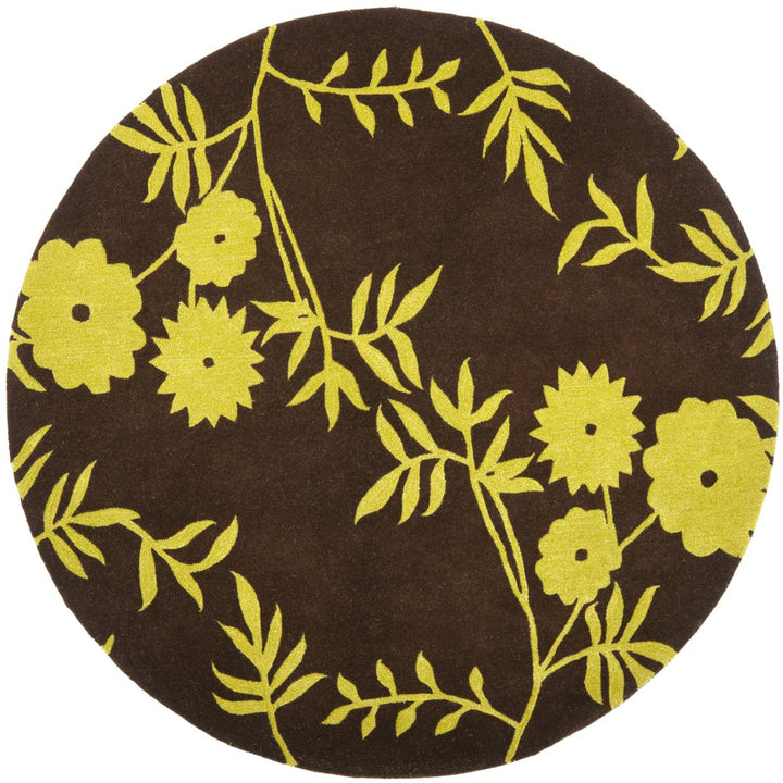 SAFAVIEH Soho SOH774A Handmade Brown / Green Rug Image 3