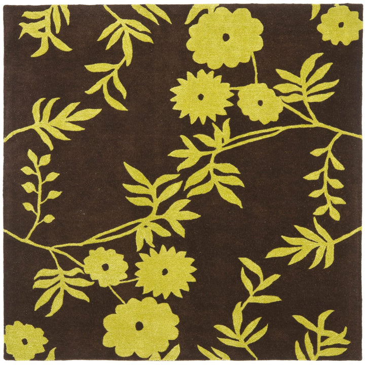 SAFAVIEH Soho SOH774A Handmade Brown / Green Rug Image 1