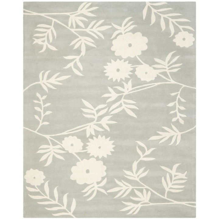 SAFAVIEH Soho Collection SOH774C Handmade Grey/Ivory Rug Image 1