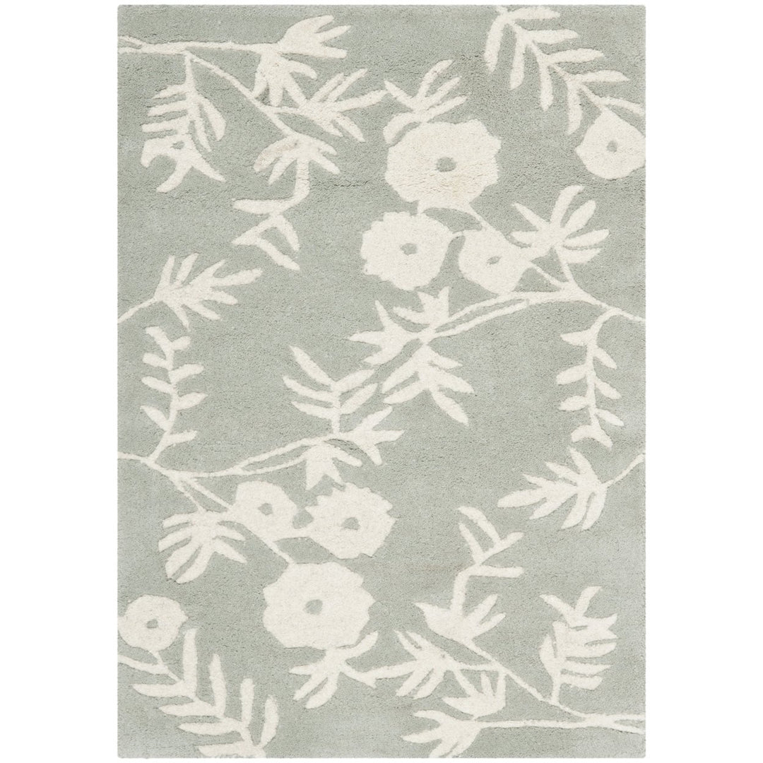 SAFAVIEH Soho Collection SOH774C Handmade Grey/Ivory Rug Image 1