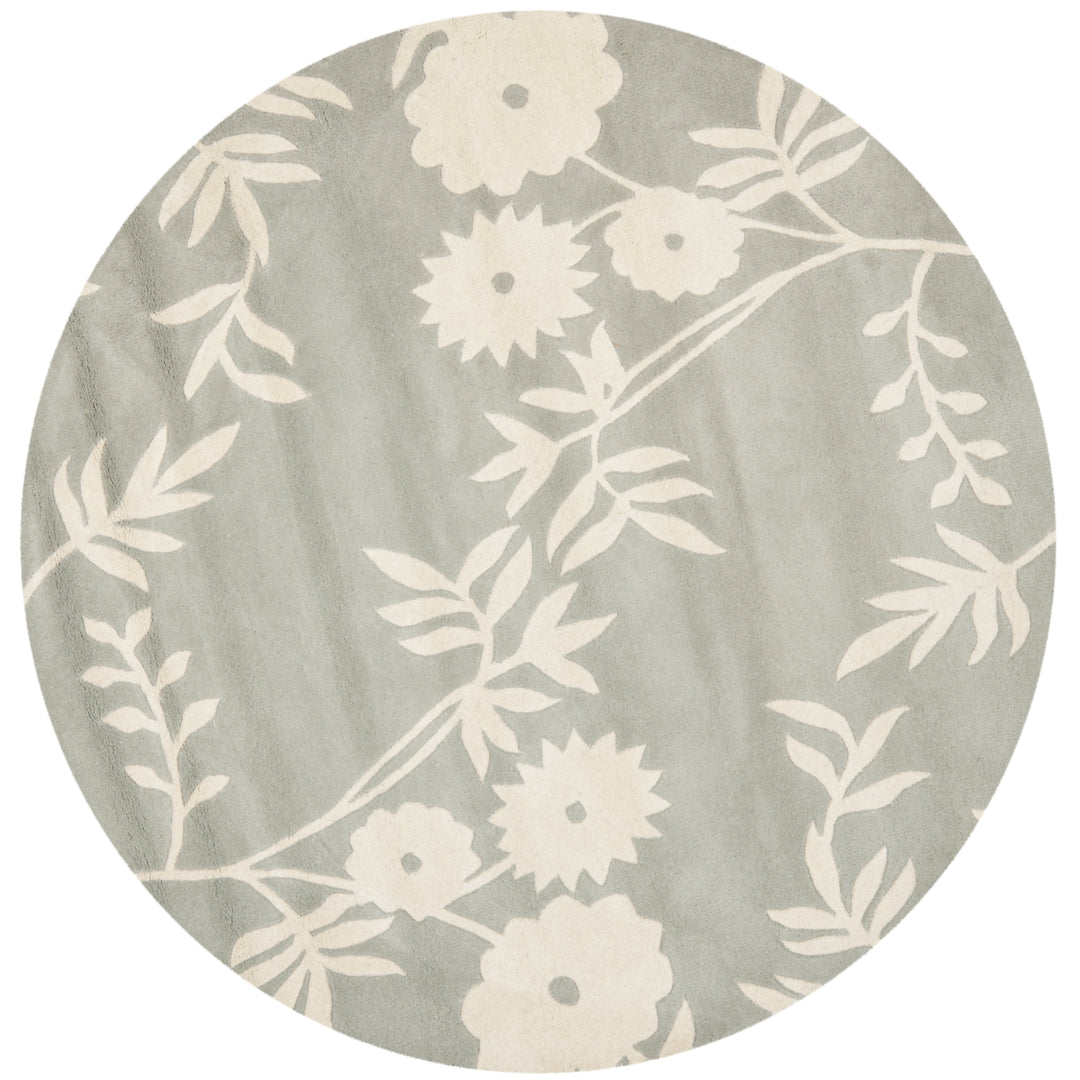 SAFAVIEH Soho Collection SOH774C Handmade Grey/Ivory Rug Image 6