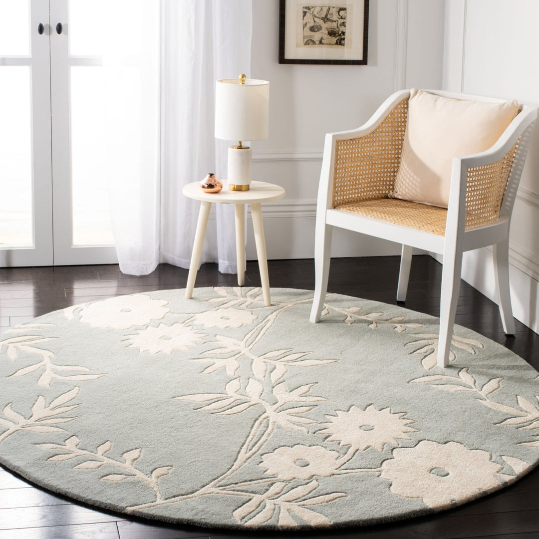 SAFAVIEH Soho Collection SOH774C Handmade Grey/Ivory Rug Image 8