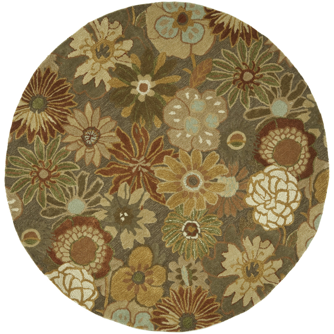 SAFAVIEH Soho SOH820A Handmade Brown / Multi Rug Image 4