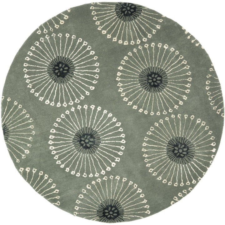 SAFAVIEH Soho Collection SOH821C Handmade Grey/Ivory Rug Image 4