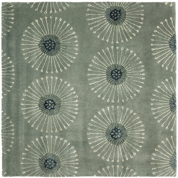 SAFAVIEH Soho Collection SOH821C Handmade Grey/Ivory Rug Image 6