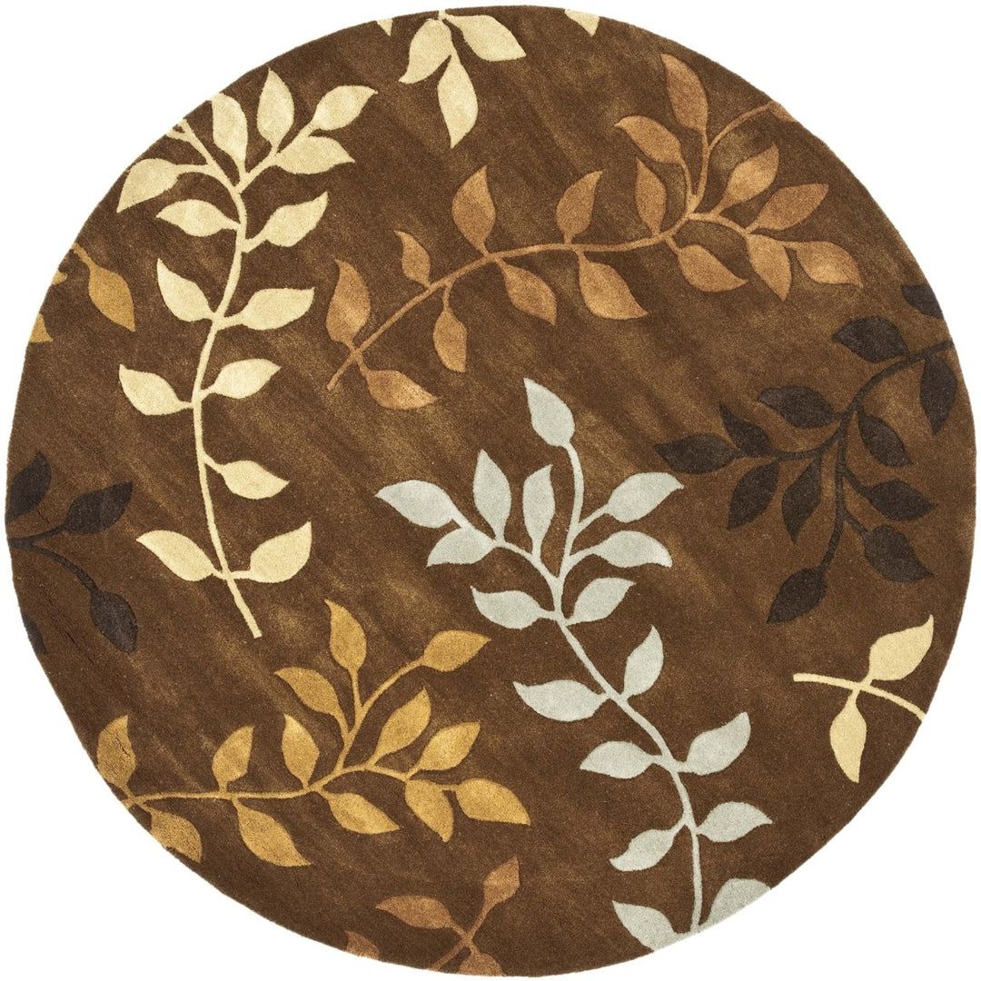 SAFAVIEH Soho SOH833A Handmade Brown / Multi Rug Image 1