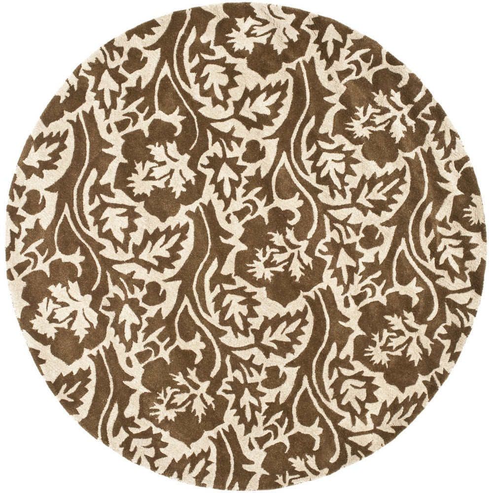 SAFAVIEH Soho SOH844A Handmade Brown / Ivory Rug Image 2