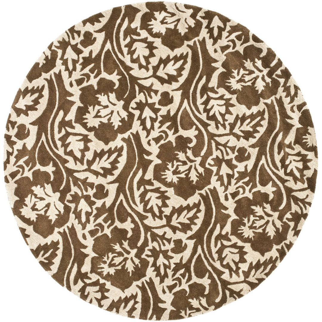 SAFAVIEH Soho SOH844A Handmade Brown / Ivory Rug Image 2