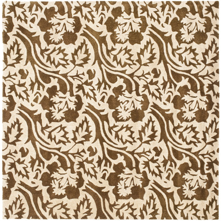 SAFAVIEH Soho SOH844A Handmade Brown / Ivory Rug Image 3