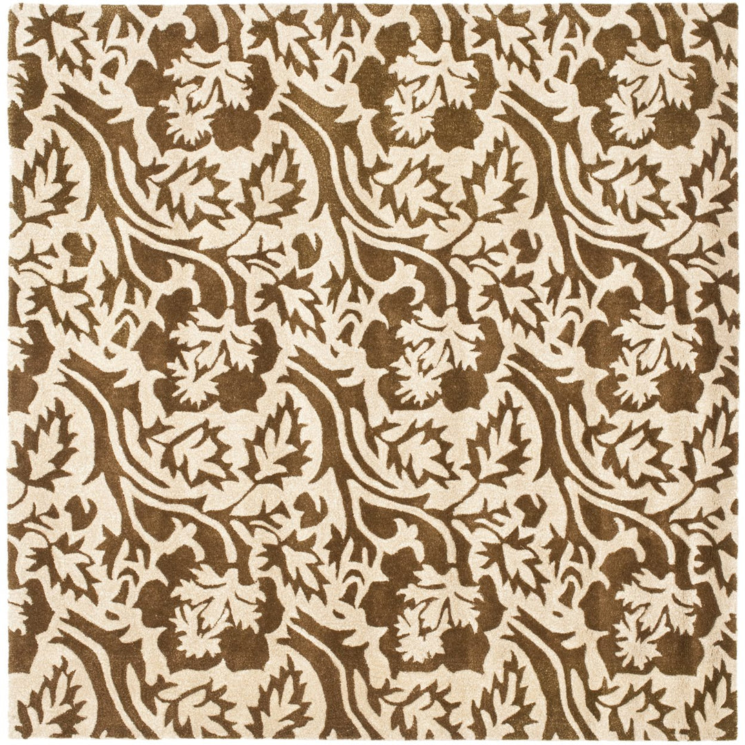 SAFAVIEH Soho SOH844A Handmade Brown / Ivory Rug Image 1