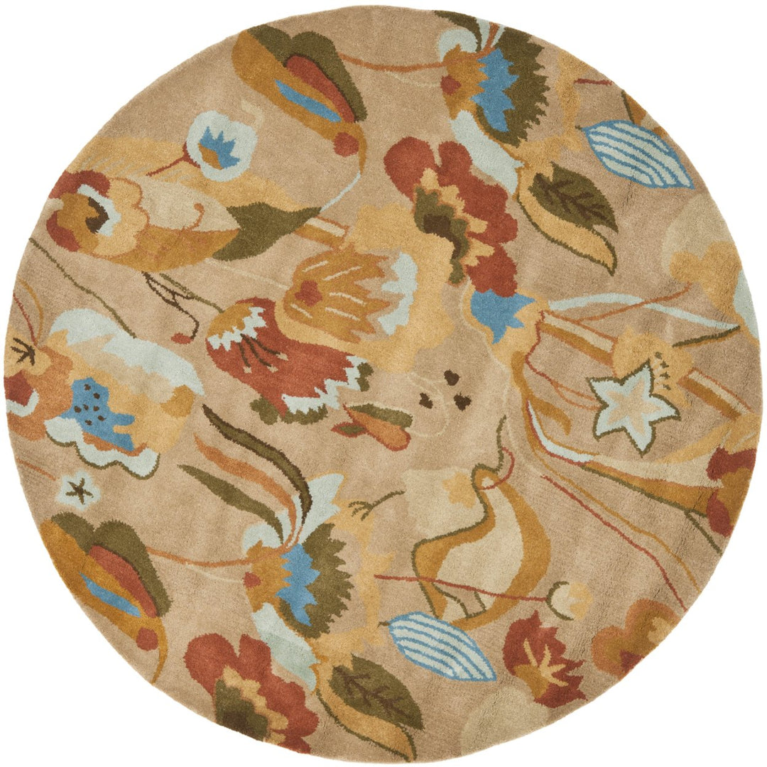 SAFAVIEH Soho SOH850A Handmade Beige / Multi Rug Image 3