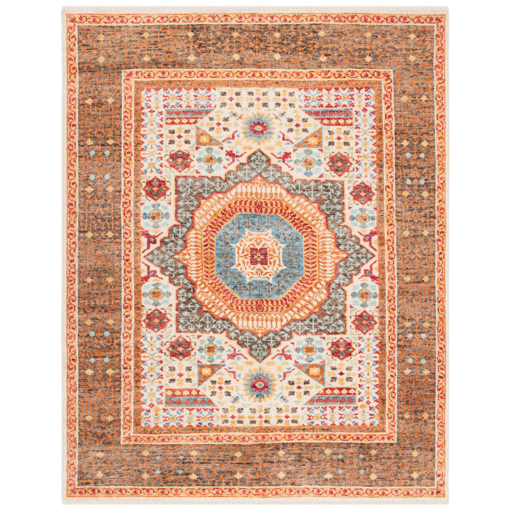 SAFAVIEH SRK165B Samarkand Beige / Charcoal Image 2