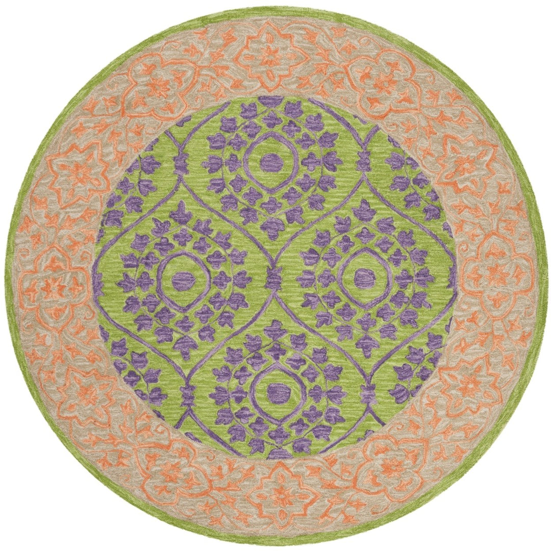 SAFAVIEH Suzani SZN102A Hand-hooked Green / Violet Rug Image 1