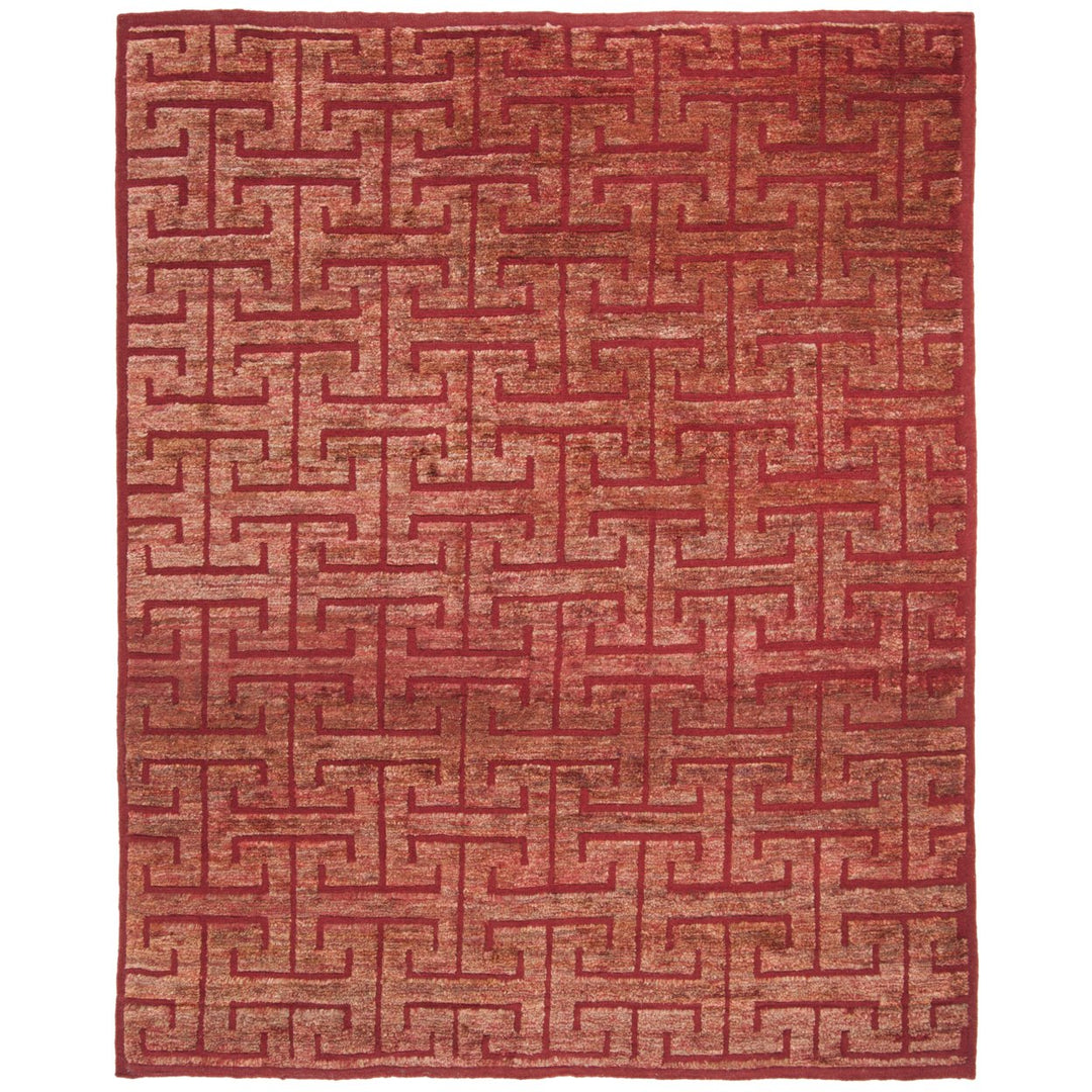 SAFAVIEH Tangier Collection TGR417C Red / Rust Rug Image 5