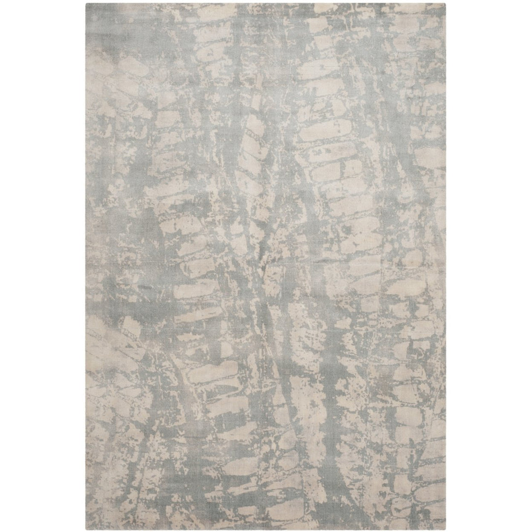 SAFAVIEH TIB554A Tibetan Light Grey Image 1