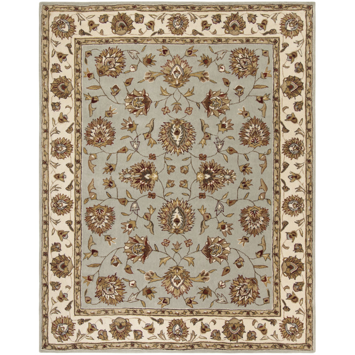 SAFAVIEH Total Performance TLP416B Light Blue / Ivory Rug Image 1