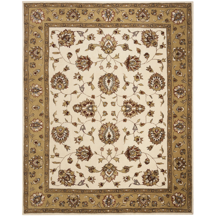 SAFAVIEH Total Performance TLP416A Ivory / Beige Rug Image 1