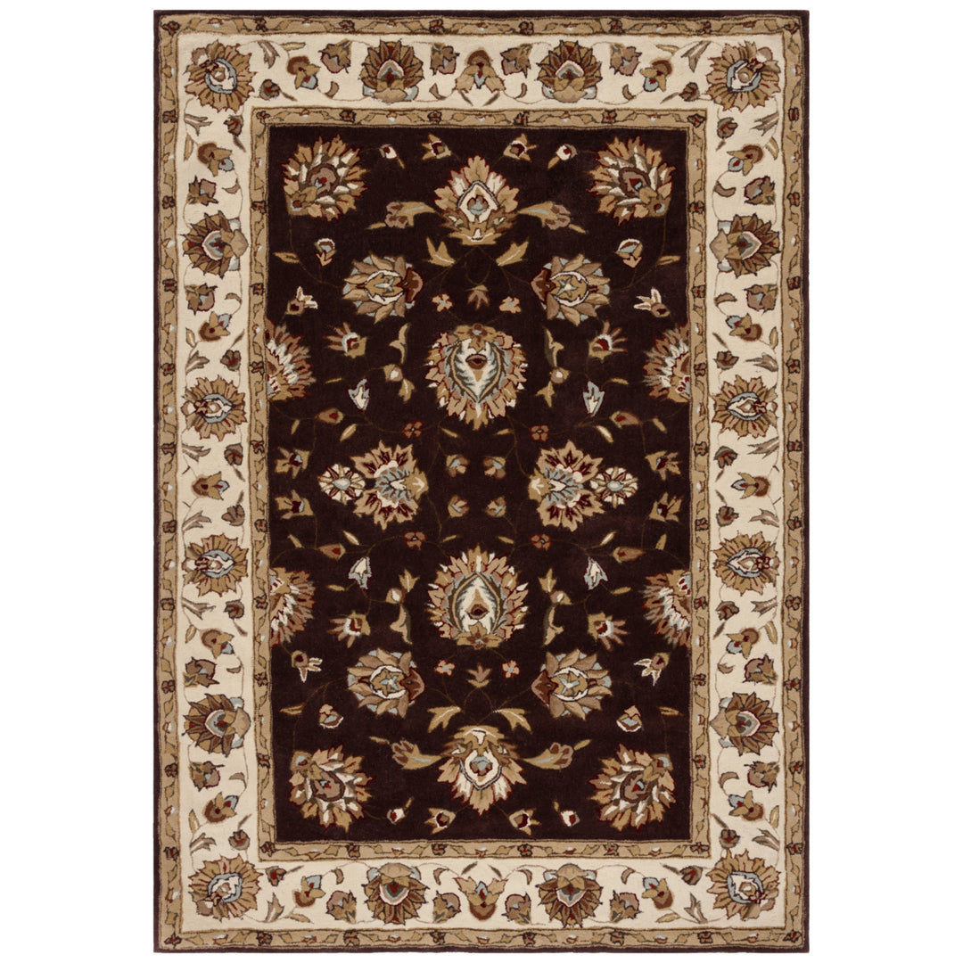 SAFAVIEH Total Performance TLP416D Brown / Ivory Rug Image 1