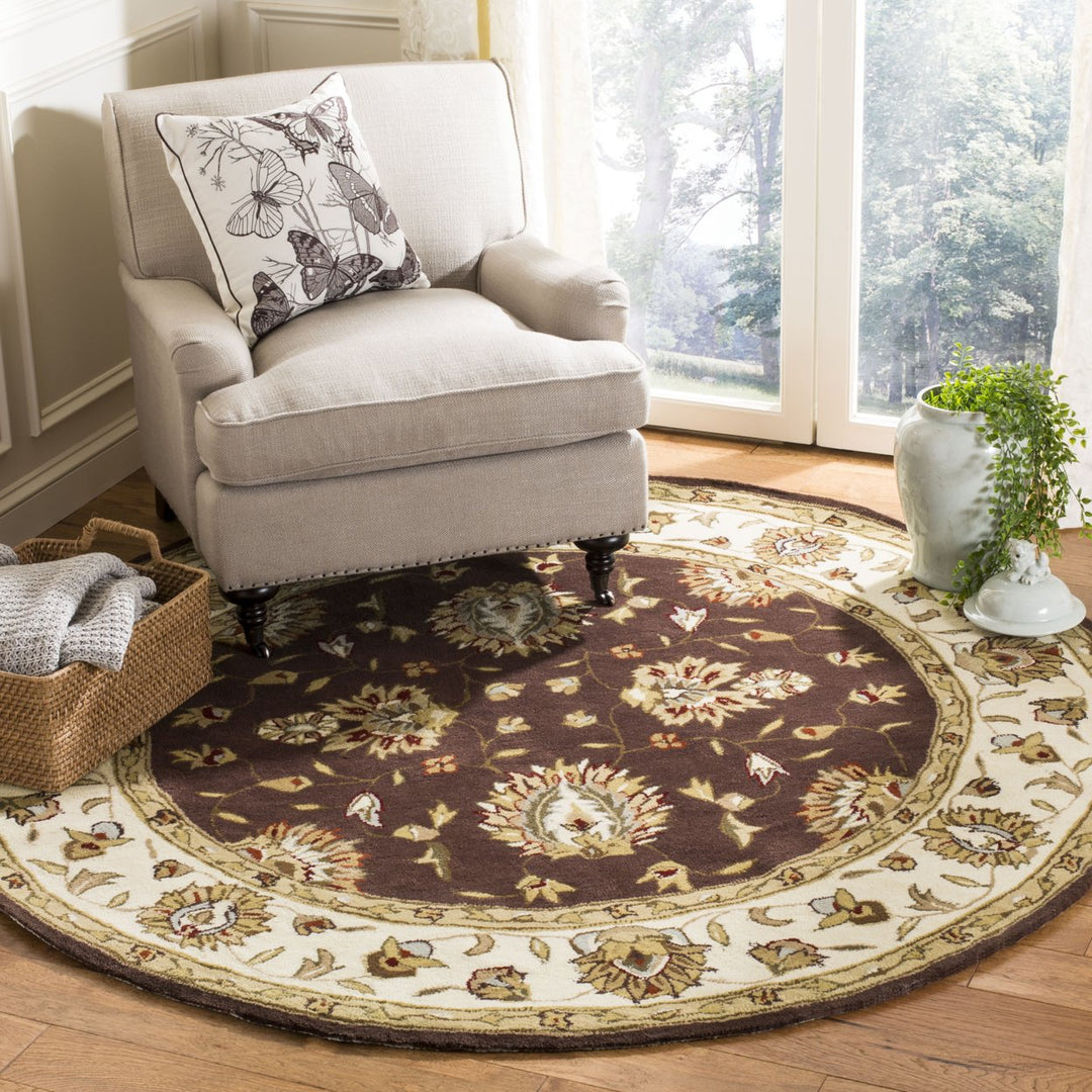 SAFAVIEH Total Performance TLP416D Brown / Ivory Rug Image 2