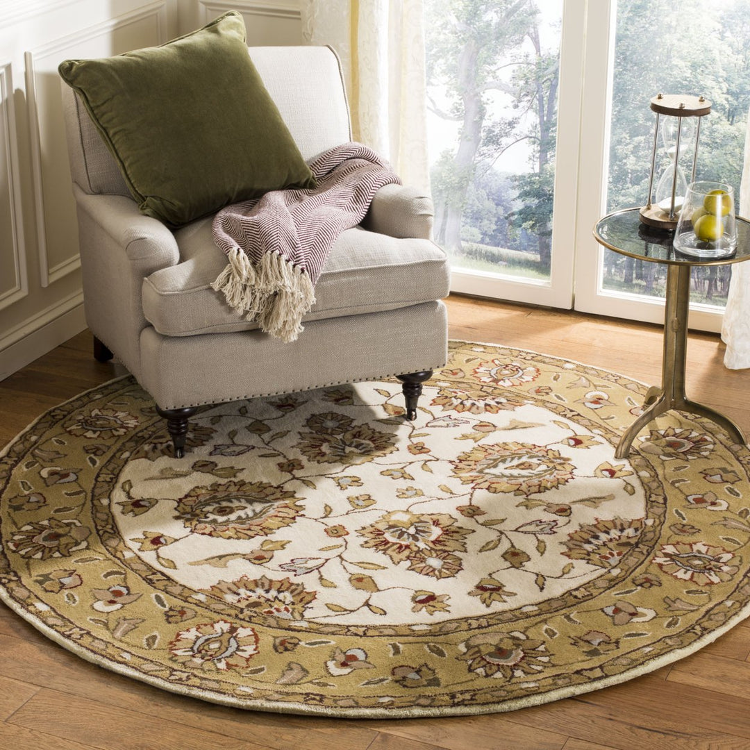 SAFAVIEH Total Performance TLP416A Ivory / Beige Rug Image 2