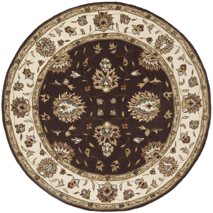 SAFAVIEH Total Performance TLP416D Brown / Ivory Rug Image 1