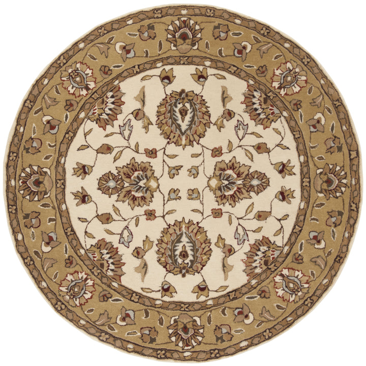 SAFAVIEH Total Performance TLP416A Ivory / Beige Rug Image 4