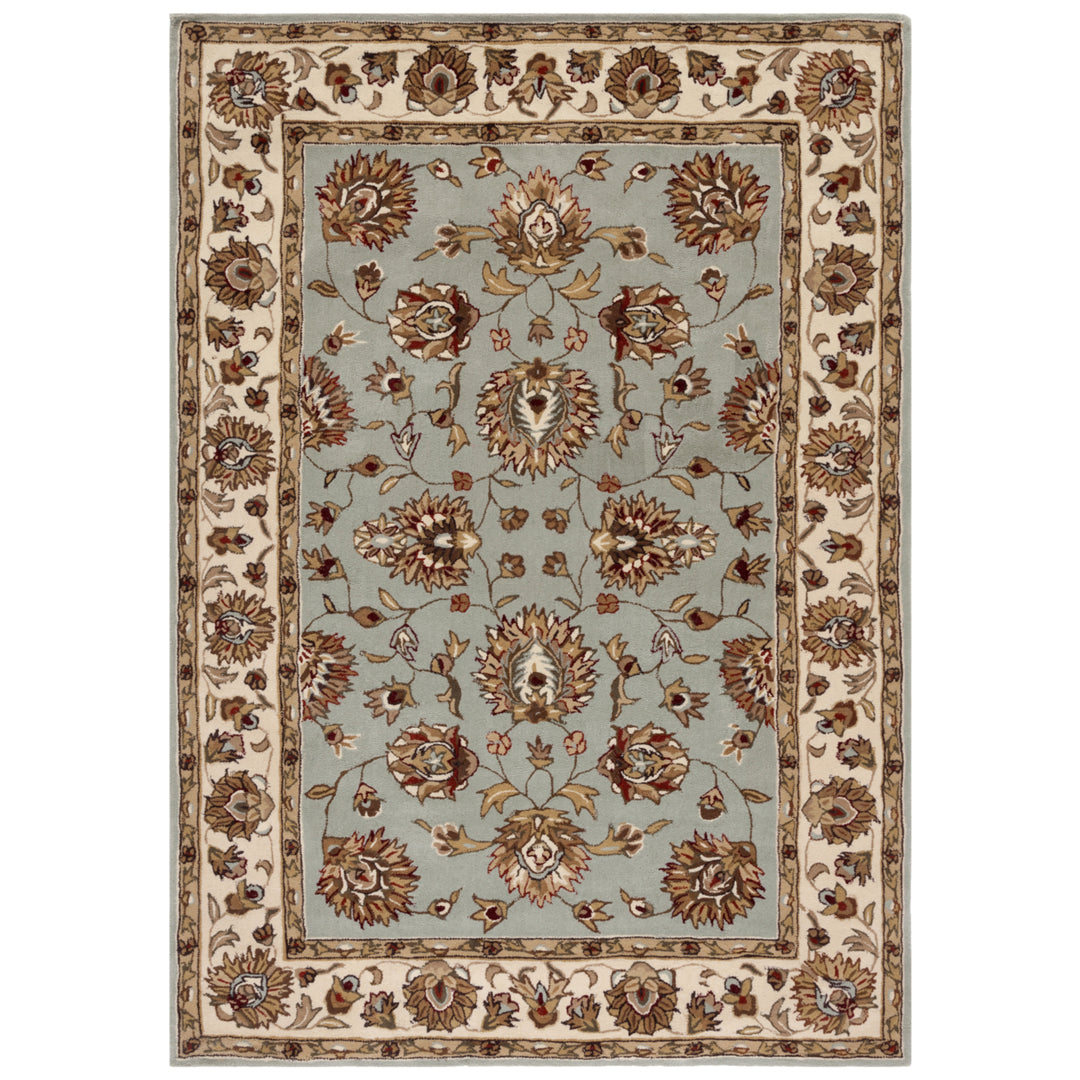 SAFAVIEH Total Performance TLP416B Light Blue / Ivory Rug Image 6