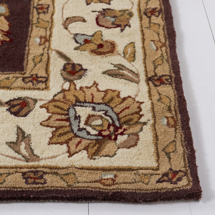 SAFAVIEH Total Performance TLP416D Brown / Ivory Rug Image 6