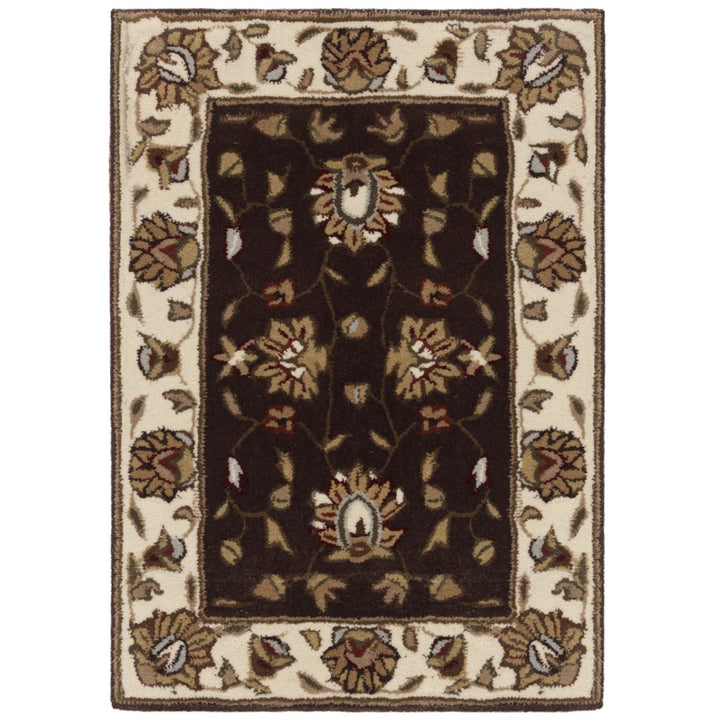 SAFAVIEH Total Performance TLP416D Brown / Ivory Rug Image 1