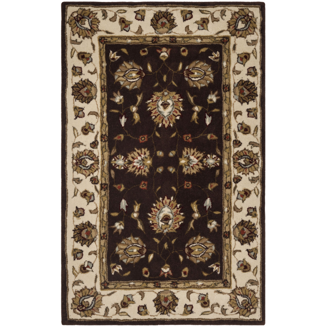 SAFAVIEH Total Performance TLP416D Brown / Ivory Rug Image 10