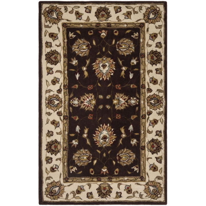 SAFAVIEH Total Performance TLP416D Brown / Ivory Rug Image 1