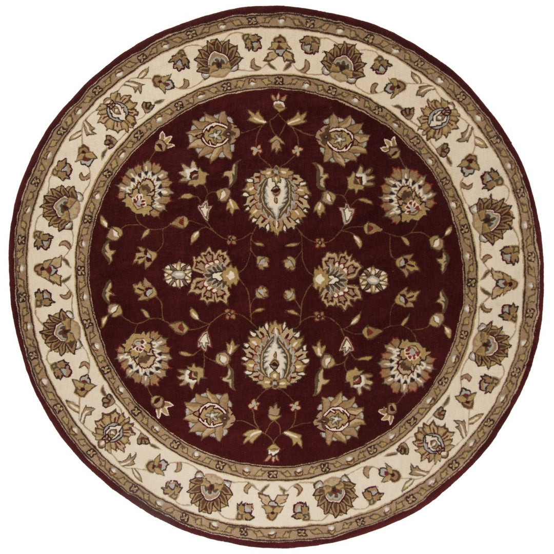 SAFAVIEH Total Performance TLP416C Burgundy / Ivory Rug Image 1