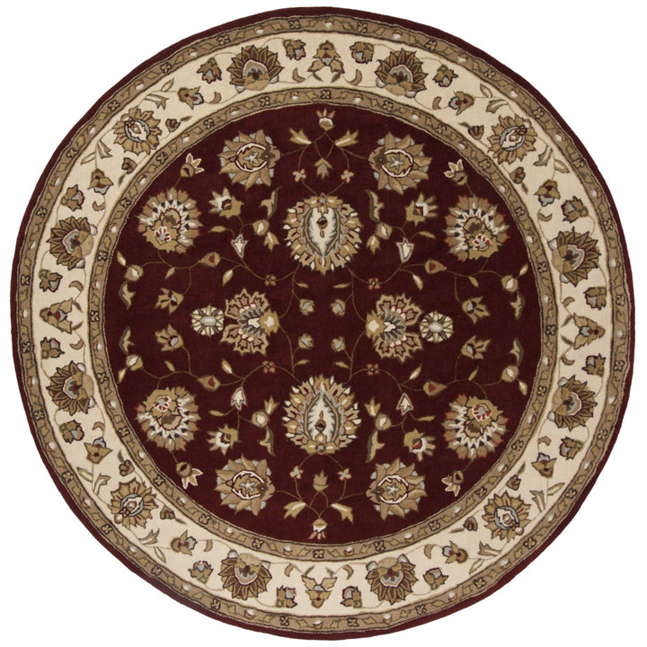 SAFAVIEH Total Performance TLP416C Burgundy / Ivory Rug Image 1