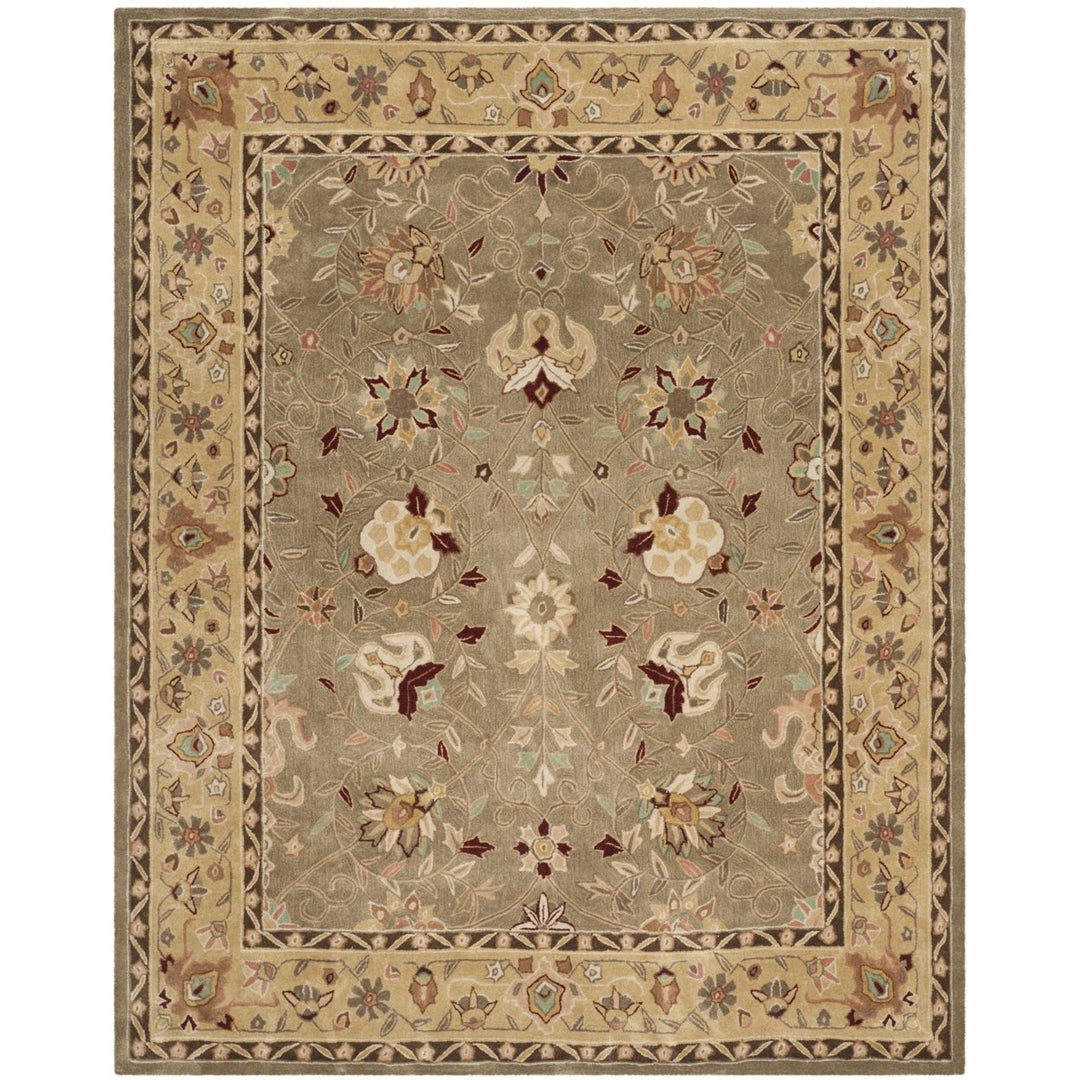 Safavieh TLP712A Total Performance Sage / Beige Image 7