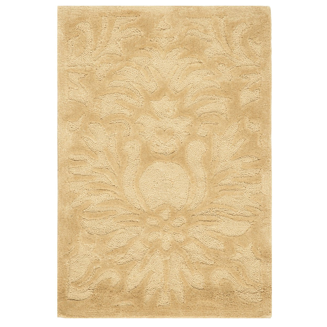 SAFAVIEH Total Performance TLP714C Hand-hooked Beige Rug Image 1