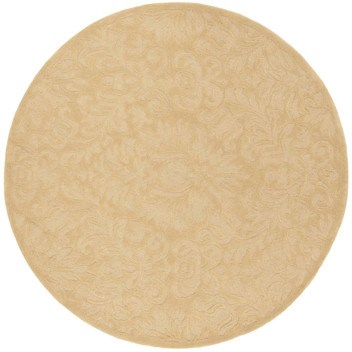 SAFAVIEH Total Performance TLP714C Hand-hooked Beige Rug Image 2